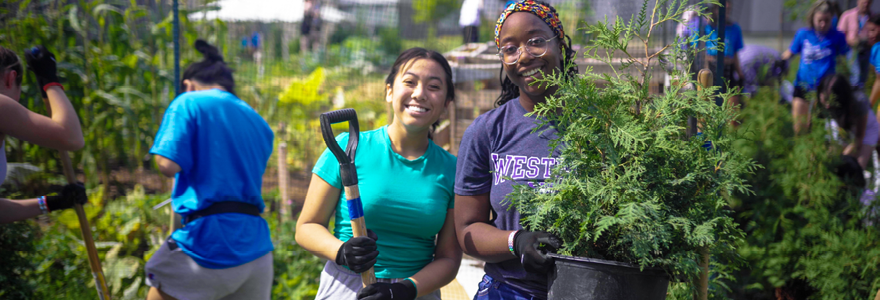 Students planting trees with ReForest London